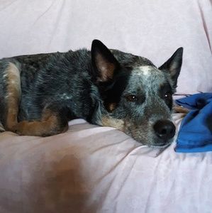 Meet your Posher, Denise